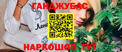 молекула духа Кингисепп