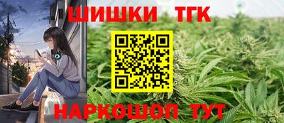 молекула духа Кингисепп