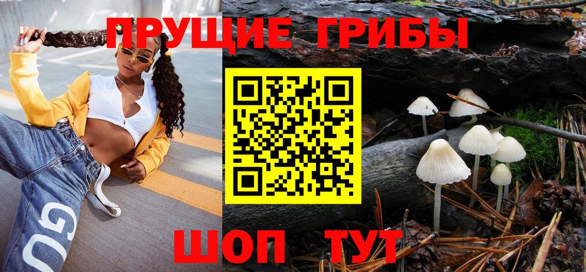 Туапсе  Галлюциногенные грибы GOLDEN TEACHER  наркотики  Вход с VPN 